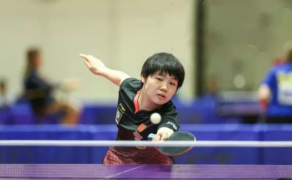 旅奠定了坚 旅奠定了坚