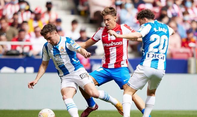 手普遍水平 手普遍水平