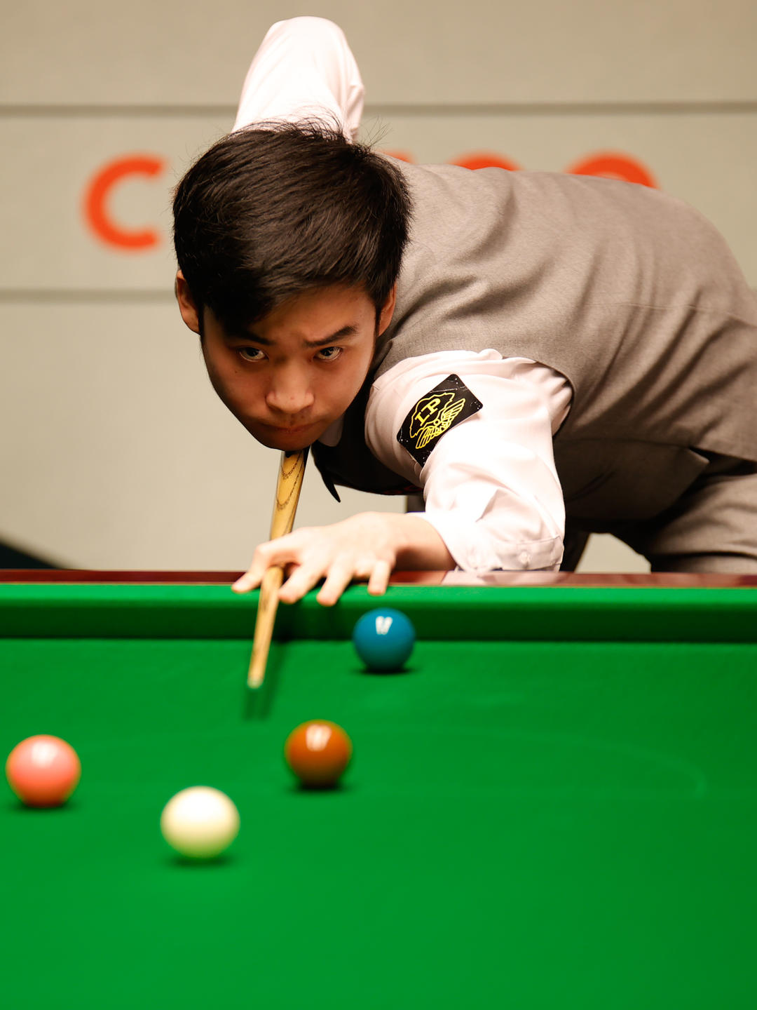 不仅帮助球 不仅帮助球