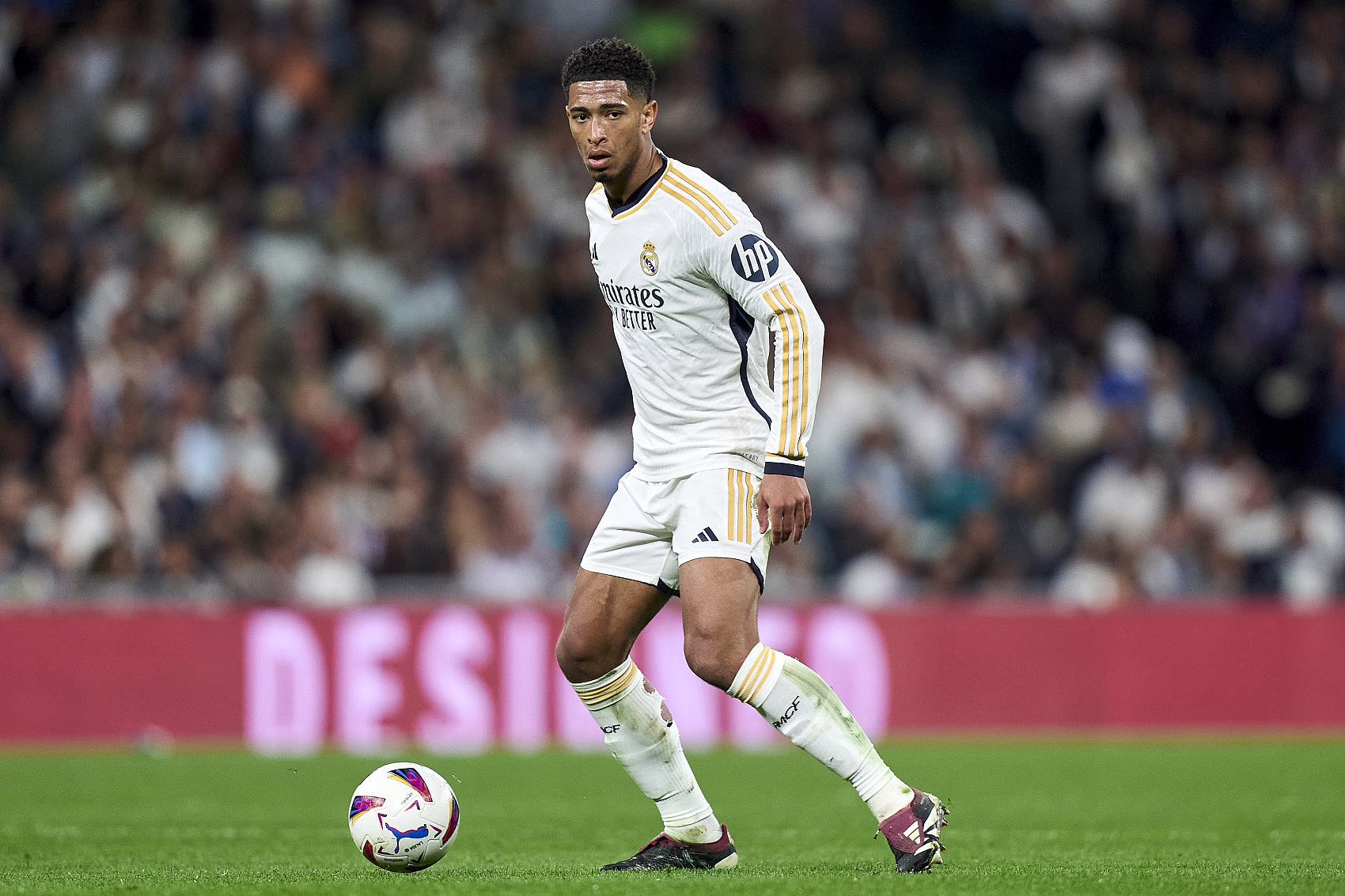 尽管贝尔纳 尽管贝尔纳