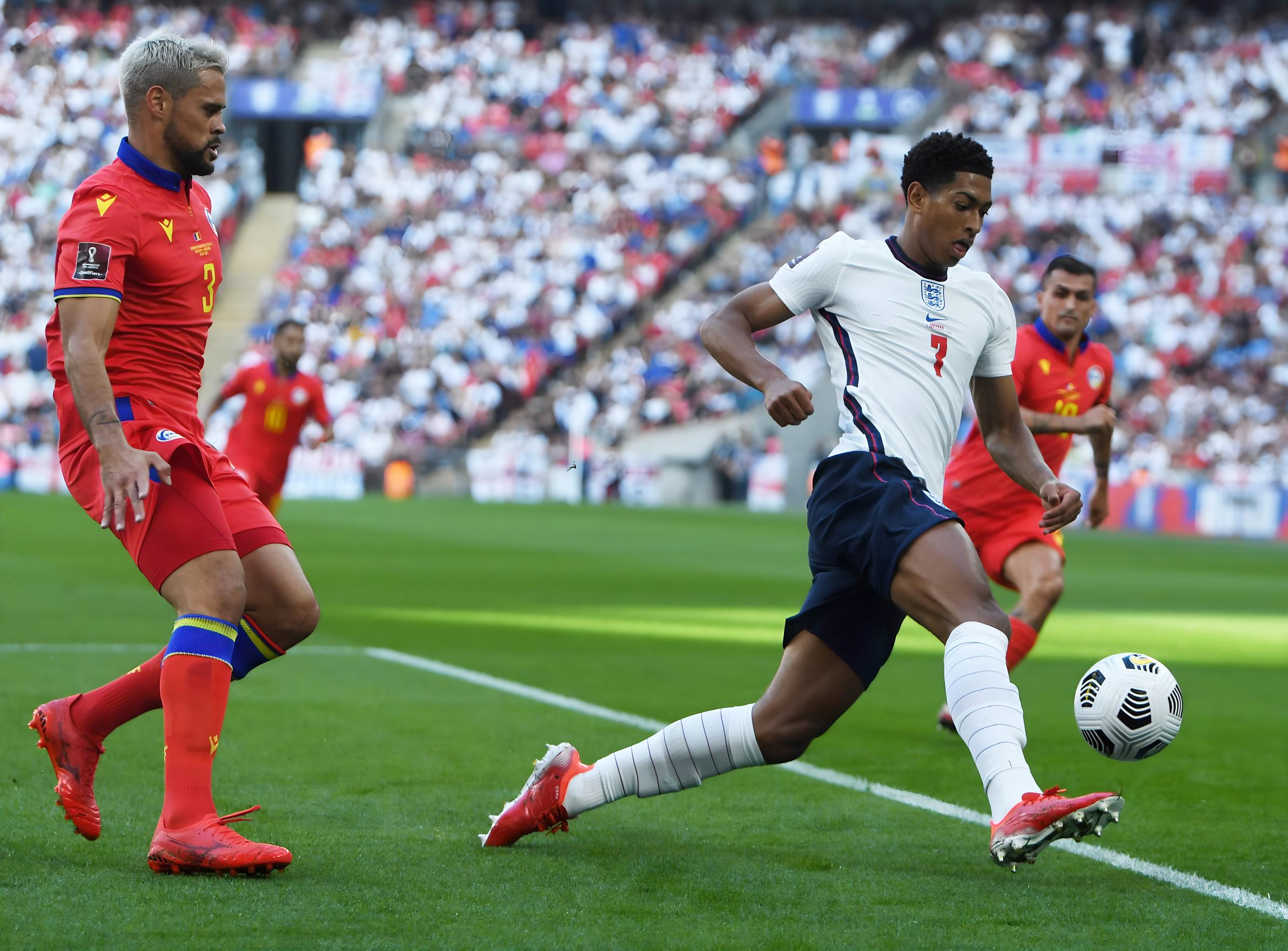 表现出他们 表现出他们