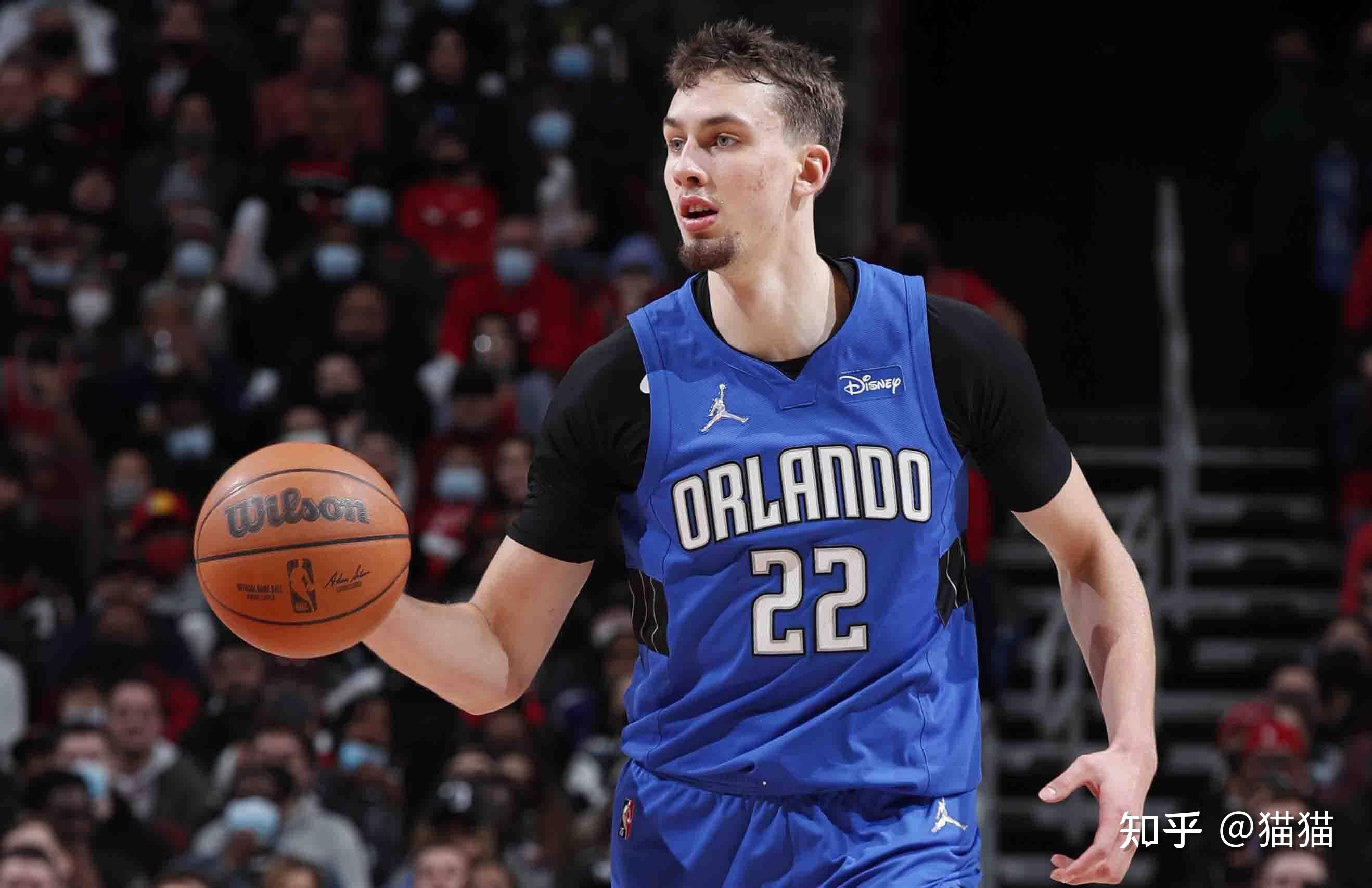 都受到极大 都受到极大