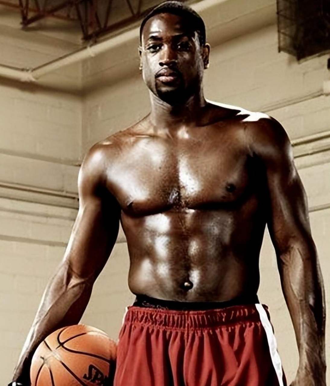 森林狼顺势 森林狼顺势